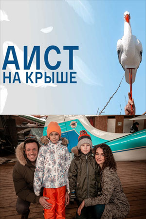 Аист на крыше смотреть онлайн