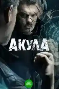 Акула
