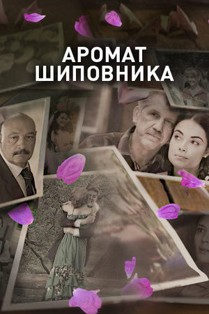 Аромат шиповника  смотреть онлайн