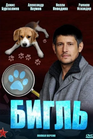 Бигль