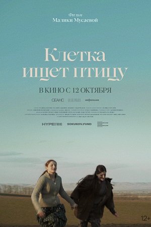 Клетка ищет птицу  смотреть онлайн