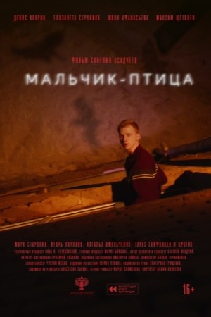 Мальчик-птица  смотреть онлайн