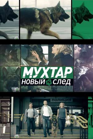 Мухтар 11 сезон  смотреть онлайн