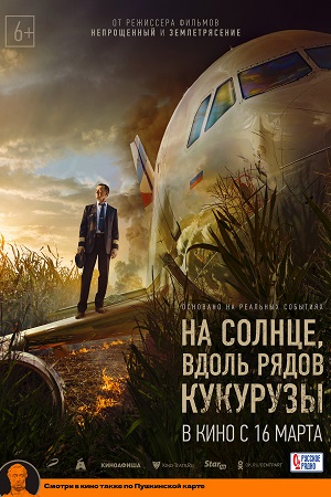 На солнце вдоль рядов кукурузы