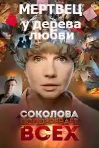 Соколова подозревает всех 5 сезон