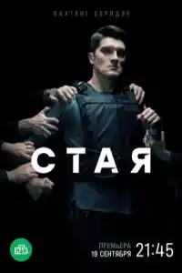 Стая НТВ смотреть онлайн