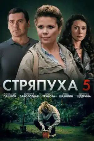5 сезон