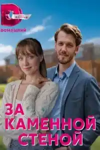 За каменной стеной